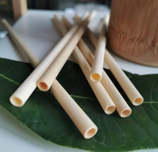 10 Pcs Reusable Bamboo Straws