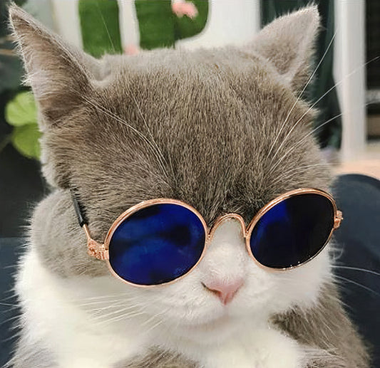 Small Pet Toy Pet Dog Sunglasses Blue Reflective