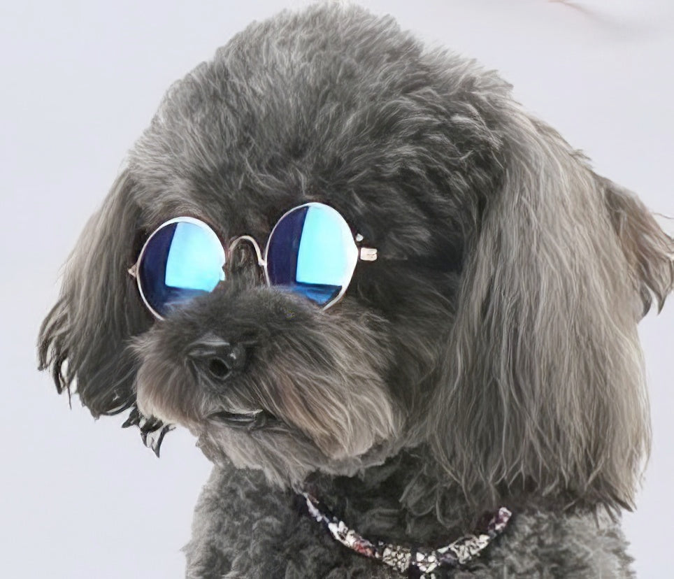 Small Pet Toy Pet Dog Sunglasses Blue Reflective