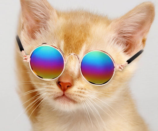 Small Pet Toy Pet Dog Sunglasses Multi Reflective