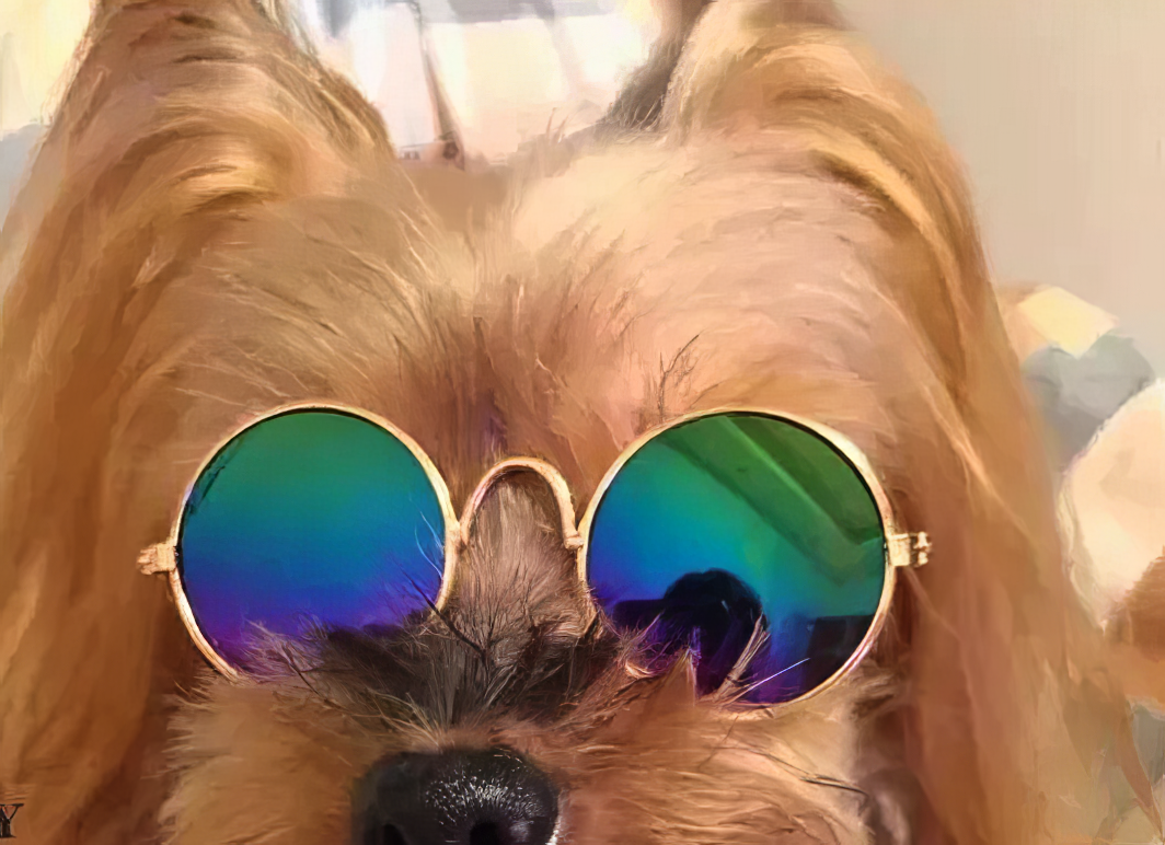 Small Pet Toy Pet Dog Sunglasses Multi Reflective