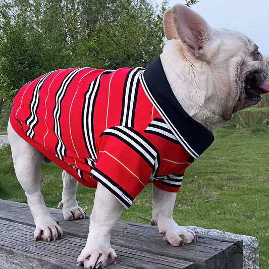 Fashion Striped Polo Pet Shirt Medium
