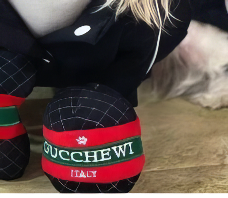 Luxury Pet Toy Gucchewi Ball