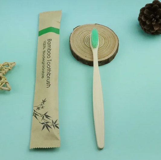 All Natural Bamboo Toothbrush with Charcoal Bristles in Green