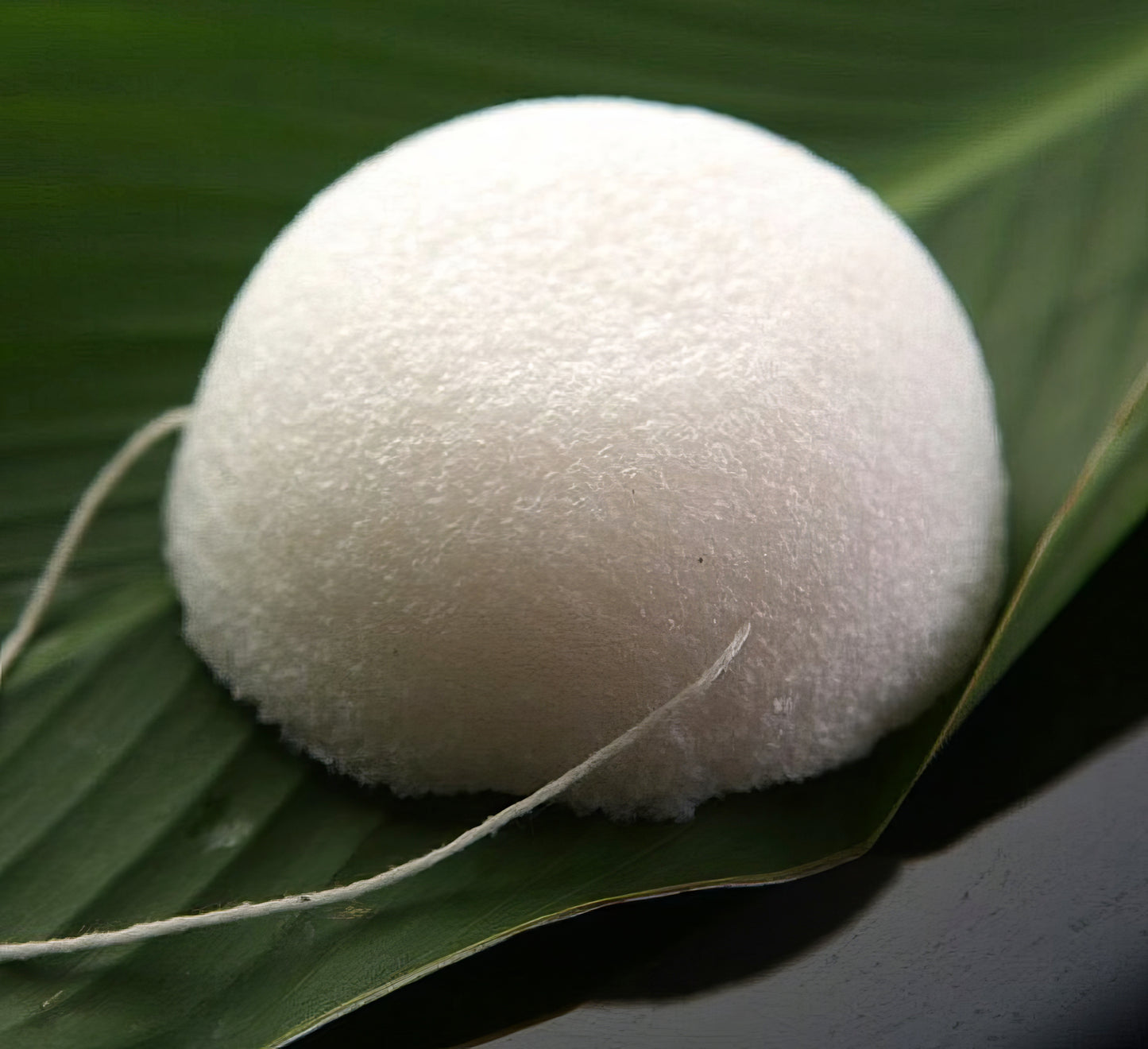 Konjac Exfoliating Sponge in White