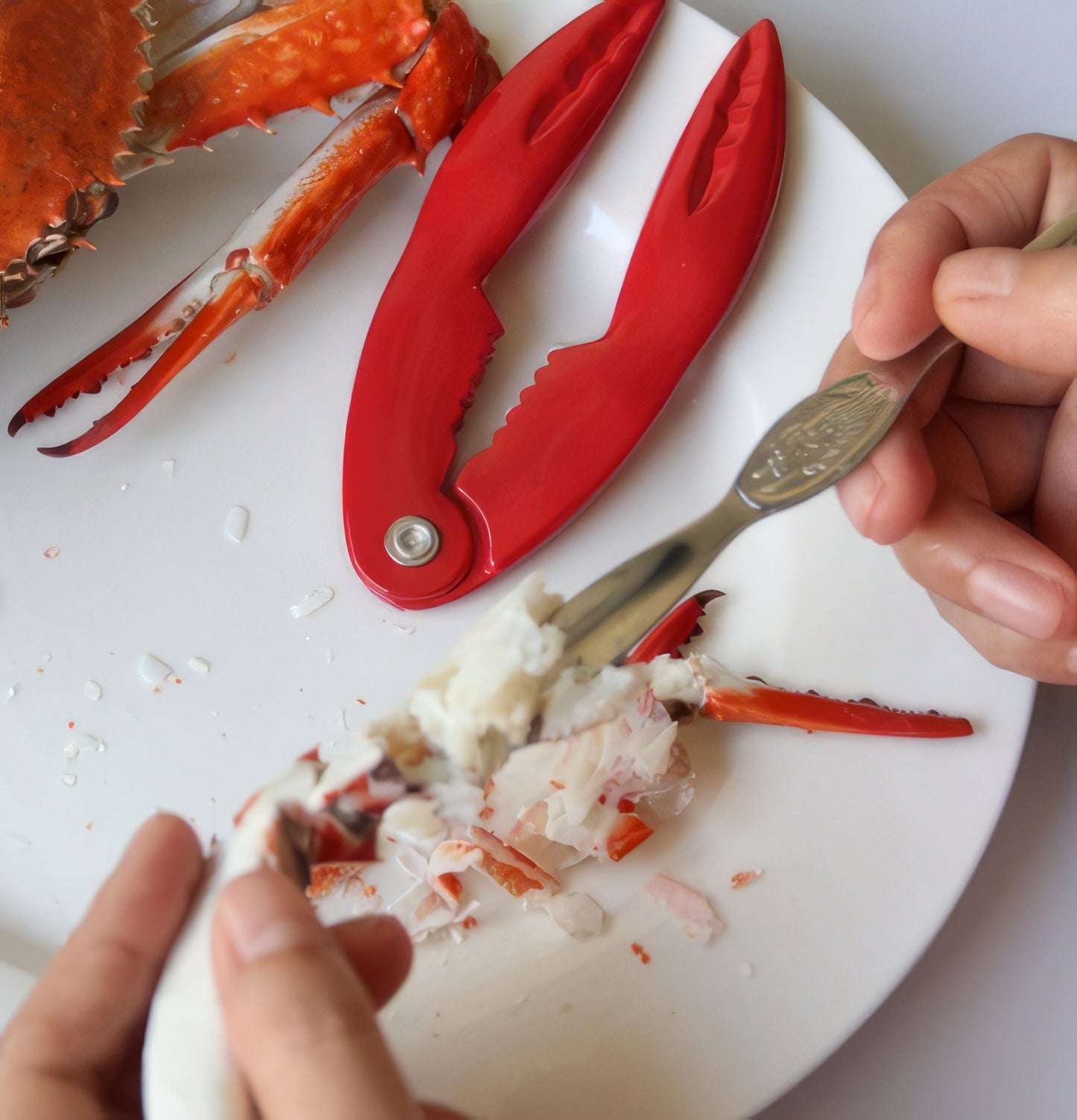 Lobster Crab Cracker Clamp Pliers Pick 2pc Set