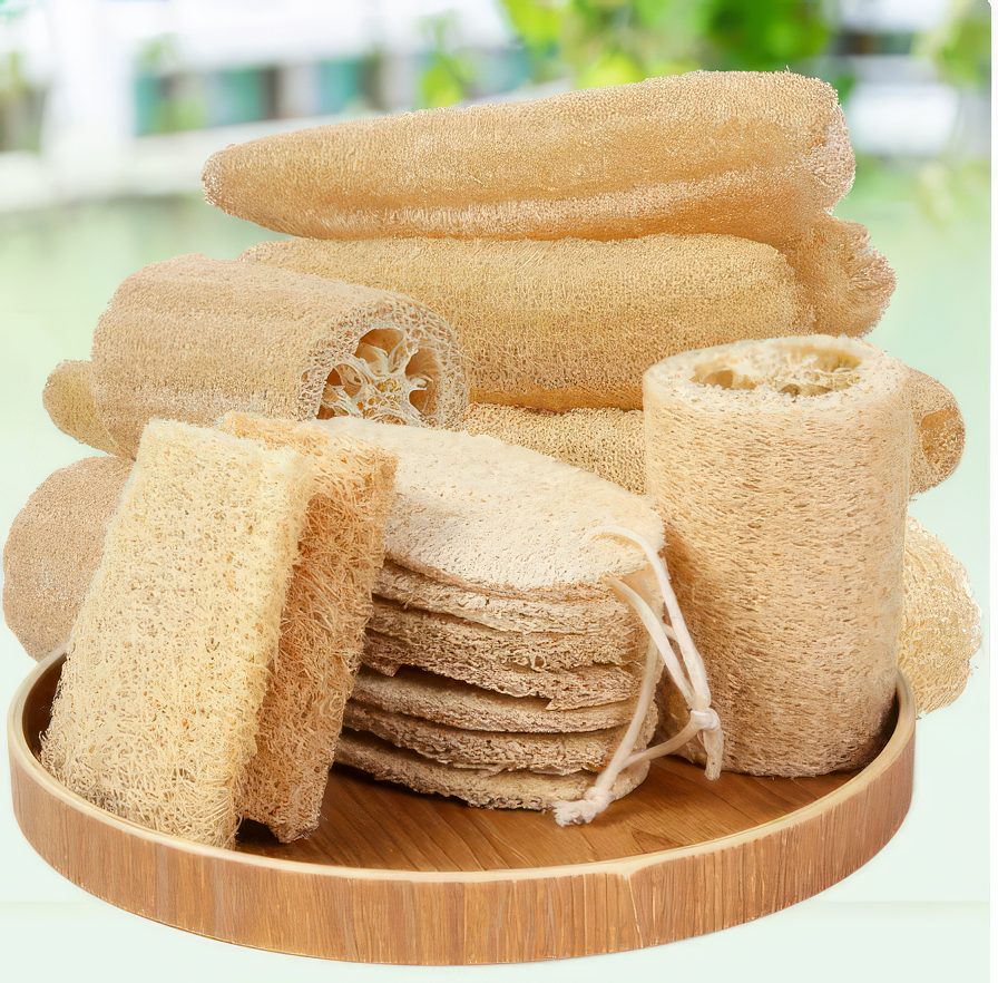 Natural Loofah Dishwashing Pad 2 PK