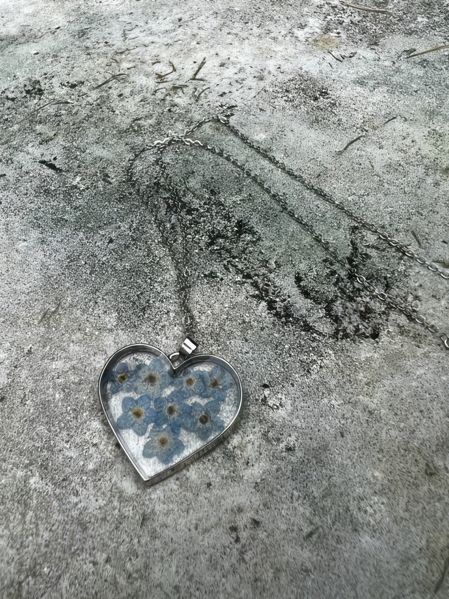 Heart Acrylic Dried Preserved Fresh Flower Necklace in Cornflower Blue