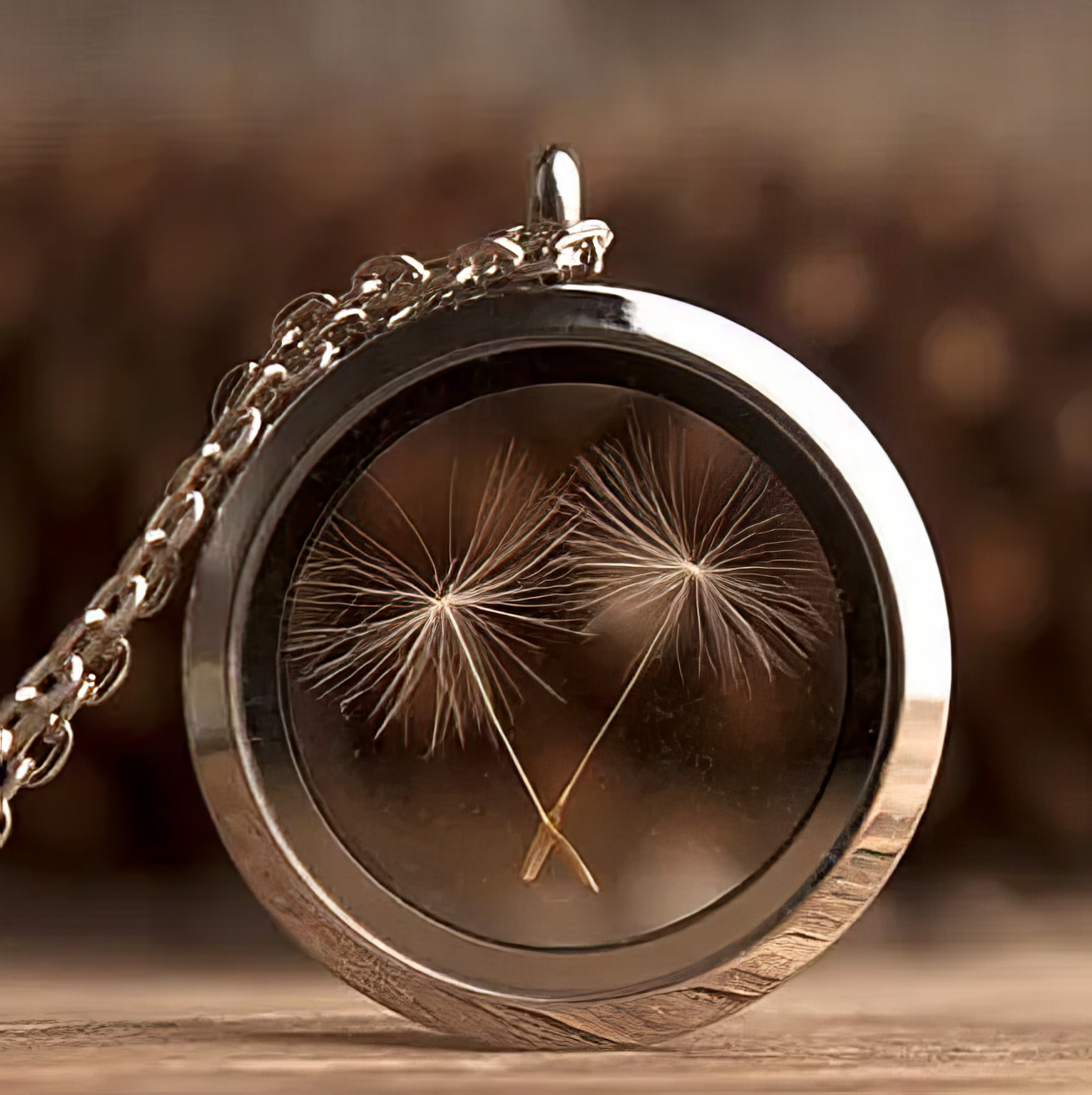 Window Stainless steel Locket Necklace Dandelion Seed